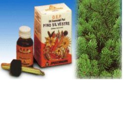 PINO SILVESTRE OLIO ESSENZIALE PURO 10 ML