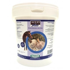 AGLIO PLUS 1 KG FETTE