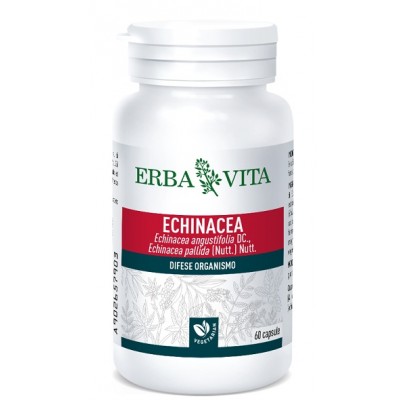 ECHINACEA 60 CAPSULE 500 MG