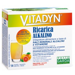 VITADYN RICARICA ALKALIN 14 BUSTINE