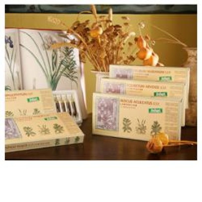 RUSCUS ACUL COMP 12F STV RUSCUS ACUL COMP 12F STV