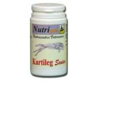KARTILEG SENIOR 30TAV