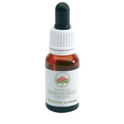 AUTUMN LEAVES GOCCE 15 ML