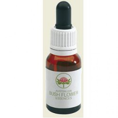 LITTLE FLANNEL FLOWER 15 ML