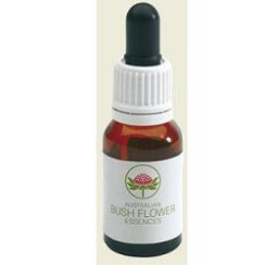 PEACH FLOW TEA TREE AUSTR15 ML