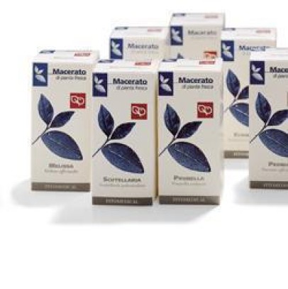 ESCOLZIA 100ML TM ESCOLZIA 100ML TM