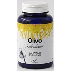 OLIVO 60 CAPSULE