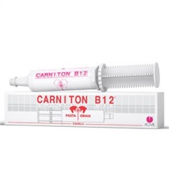 CARNITON B 12 PASTA 1 SIRINGA 100 G