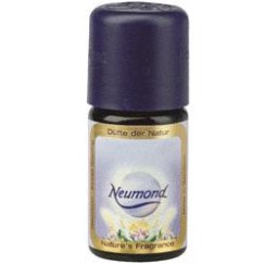 MENTA PIPERITA 10 ML