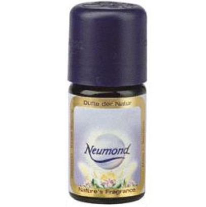 MENTA PIPERITA 10 ML MENTA PIPERITA 10 ML