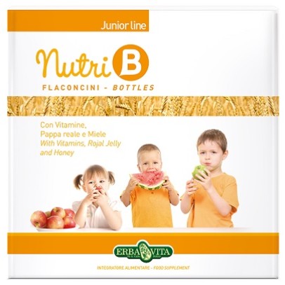 NUTRI B 10 FLACONCINI 10 ML NUTRI B 10 FLACONCINI 10 ML