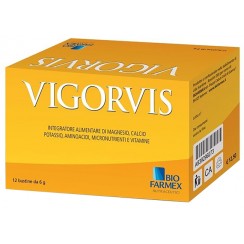 VIGORVIS POLVERE 12 BUSTINE 10 G