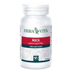 MACA 60 CAPSULE 400 MG