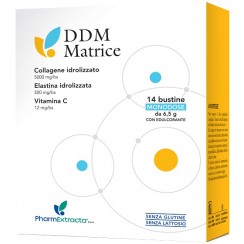 DDM MATRICE 14 BUSTINE