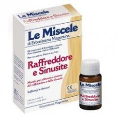 MISCELA RAFFREDDORE & SINUSITE 6 FLACONCINI MONODOSE DA 8 ML