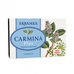 CARMINA PLUS 24 COMPRESSE 19,2 G