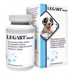 LEGART MAXI 60 COMPRESSE 2 G