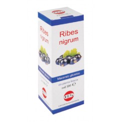 RIBES NIGRUM MG 100 ML GOCCE