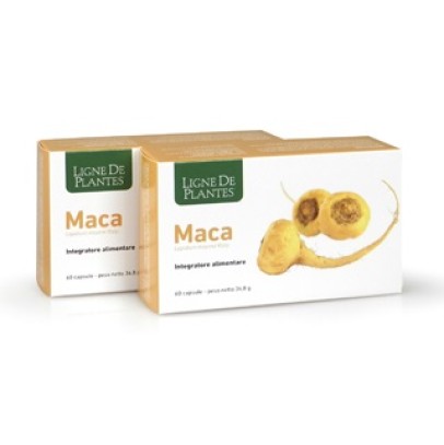 MACA 60 CAPSULE MACA 60 CAPSULE