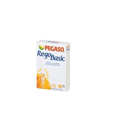 REGOBASIC 12 BUSTINE POLVERE REGOBASIC 12 BUSTINE POLVERE