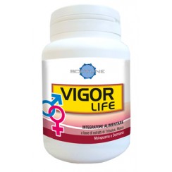 VIGOR LIFE 40 CAPSULE
