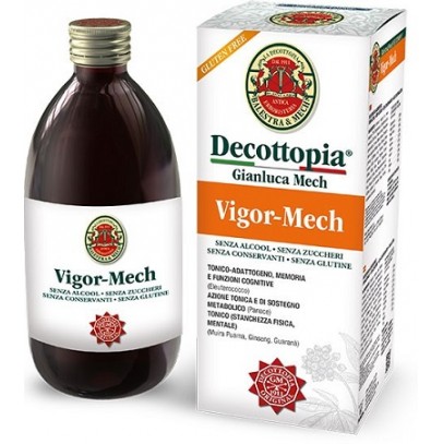 VIGOR MECH 500 ML