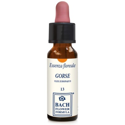 GORSE ORIGINAL 10ML GTT GORSE ORIGINAL 10ML GTT