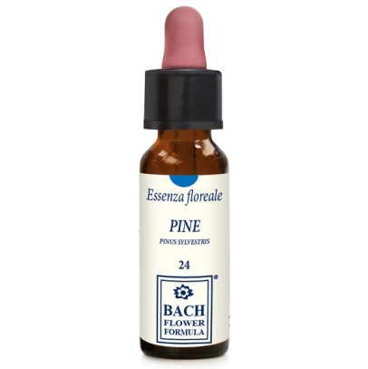 PINE ORIGINAL 10ML GTT PINE ORIGINAL 10ML GTT