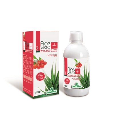 SUCCO ALOEVERA+ GOJI 1000 ML