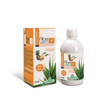 SUCCO ALOEVERA+ ANANAS/PAPAIA 1000 ML SUCCO ALOEVERA+ ANANAS/PAPAIA 1000 ML