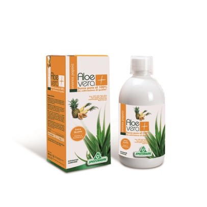 SUCCO ALOEVERA+ ANANAS/PAPAIA 1000 ML