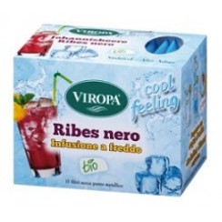 RIBES NERO INFUSIONE A FREDDO