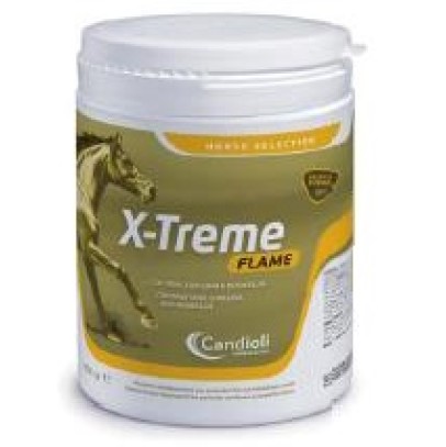 X-TREME FLAME POLVERE BARATTOLO 450 G X-TREME FLAME POLVERE BARATTOLO 450 G