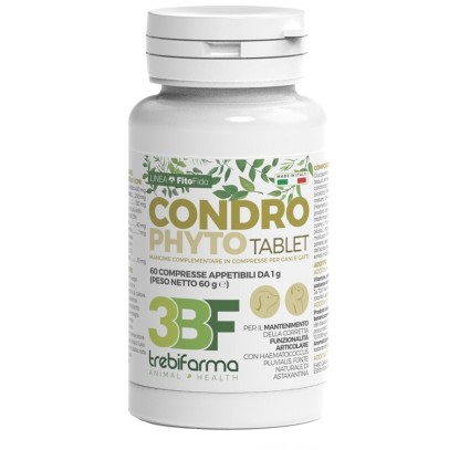 CONDROPHYTO 60 COMPRESSE DA 1 G