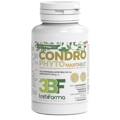 CONDROPHYTO 60 COMPRESSE 2 G