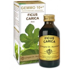 GEMMO 10+ FICO LIQUIDO ANALCOLICO 100 ML