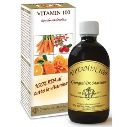 VITAMIN 100 LIQUIDO ANALCOLICO 500 ML