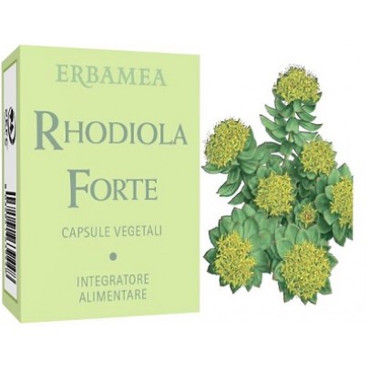 RHODIOLA FORTE 24CPS