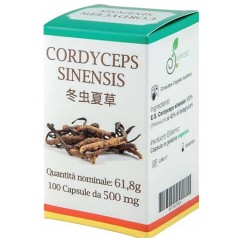 CORDYCEPS 100 CAPSULE