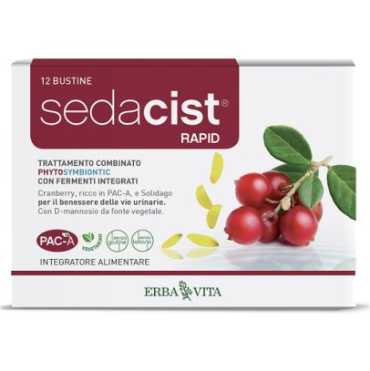 SEDACIST RAPID 6 + 6 BUSTINE SEDACIST RAPID 6 + 6 BUSTINE