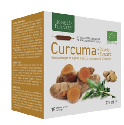 CURCUMA CICORIA ZENZERO BIO 15 AMPOLLE BEVIBILI DA 15 ML CURCUMA CICORIA ZENZERO BIO 15 AMPOLLE BEVIBILI DA 15 ML
