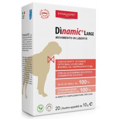 DINAMIC LARGE 20 BUSTINE 10 G