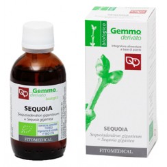 MACERATO GLICERINATO SEQUOIA BIO 50 ML