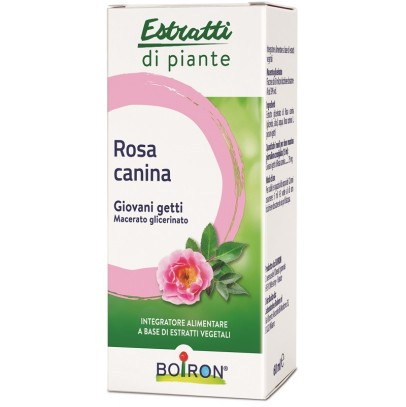 ROSA CANINA MACERATO GLICERICO 60 ML INT