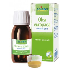 OLEA EUROPAEA MACERATO GLICERICO 60 ML INT