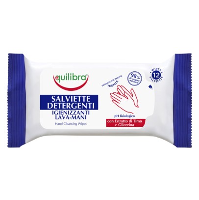 SALVIETTE DETERGENTI IGIENIZZANTI 12 PEZZI SALVIETTE DETERGENTI IGIENIZZANTI 12 PEZZI
