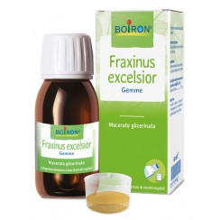 FRAXINUS EXCELSIOR MACERATO GLICERICO 60 ML INT