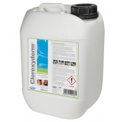 CLOREXYDERM SHAMPOO 5 LT