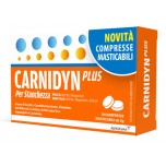 CARNIDYN PLUS 18CRP MASTICABIL