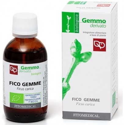 FICO GEMME MACERATO GLICERINATO BIO 50 ML